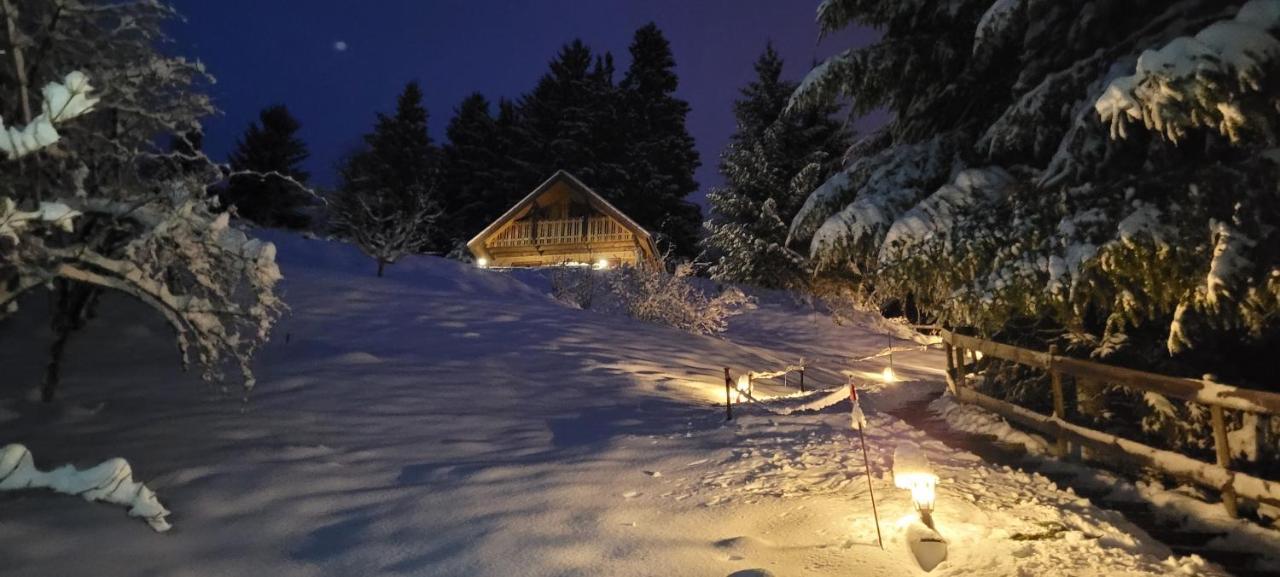 Chalet de la Grimpette au coeur de Gérardmer Exterior foto